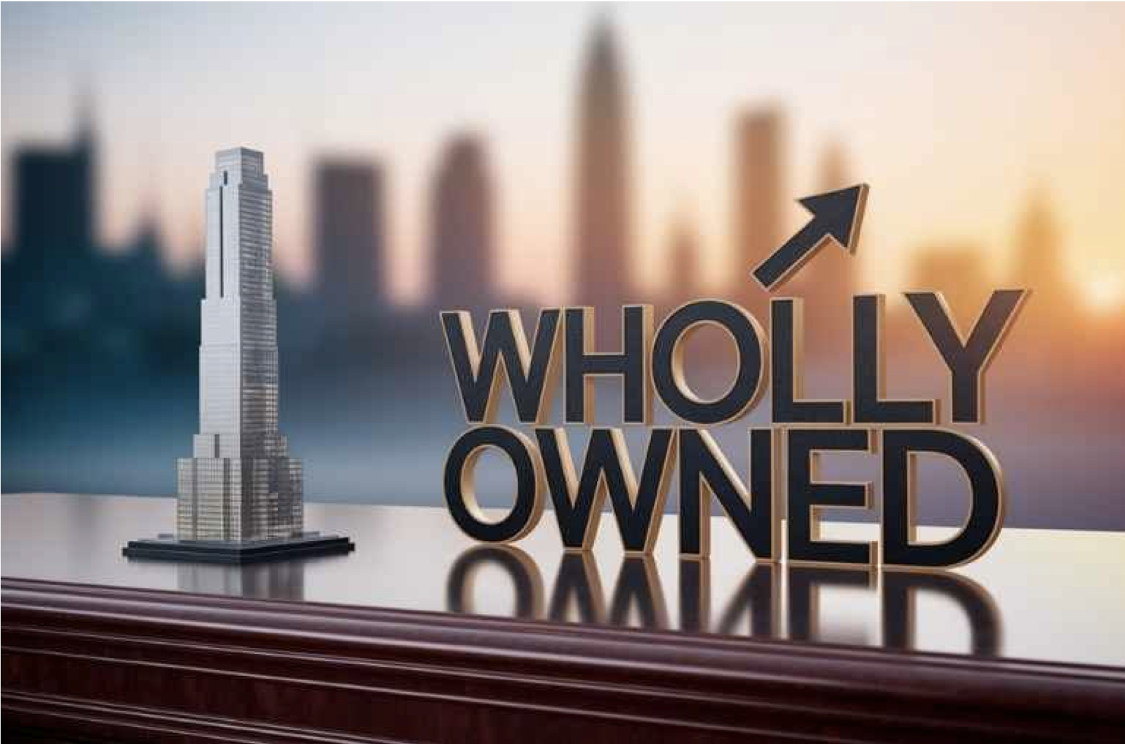 Wholly Owned Subsidiary (WOS) Incorporation