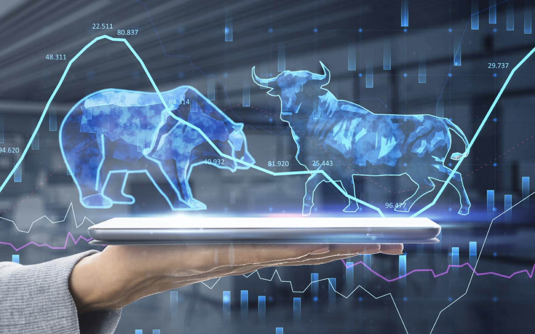 Shares Dematerialisation