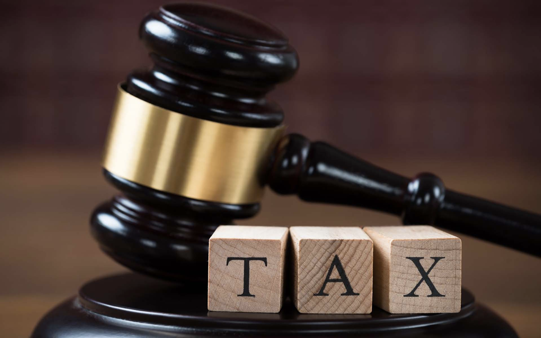 Tax Litigation and Assessment Support